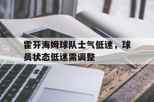 博彩-霍芬海姆主场球衣